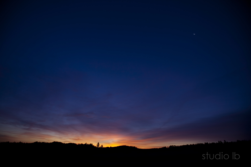 Custer State Park Sunrise_2