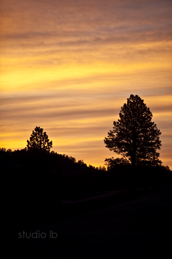 Custer State Park Sunrise_4